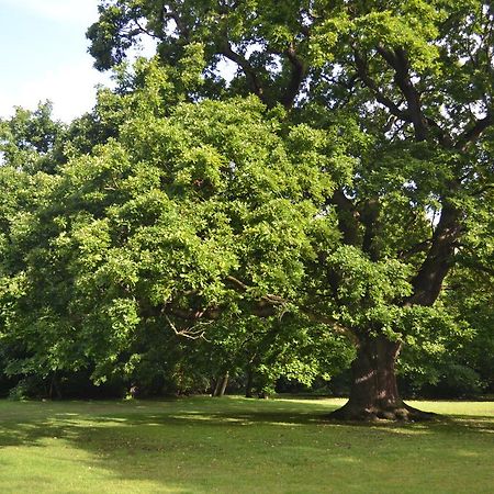 Gilwell Park 호텔 칭포드 외부 사진