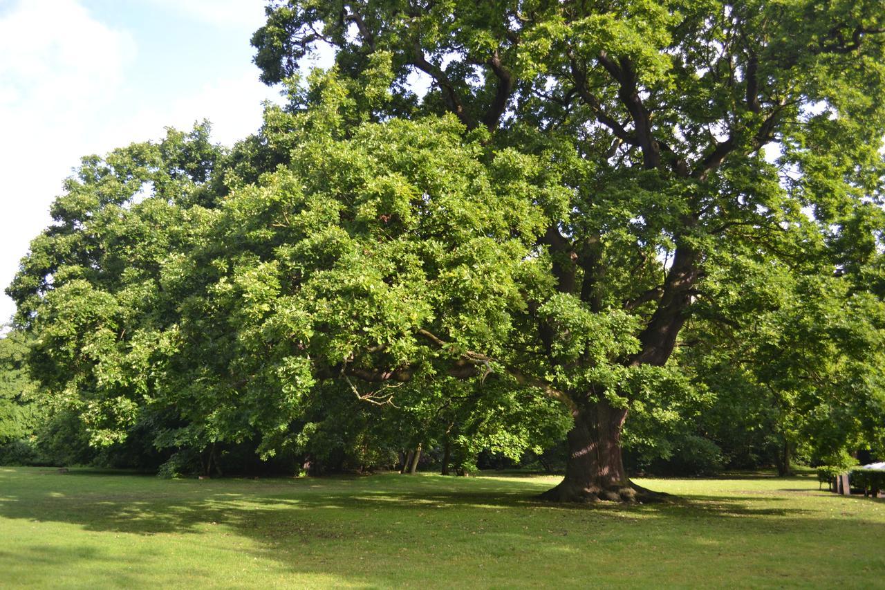 Gilwell Park 호텔 칭포드 외부 사진