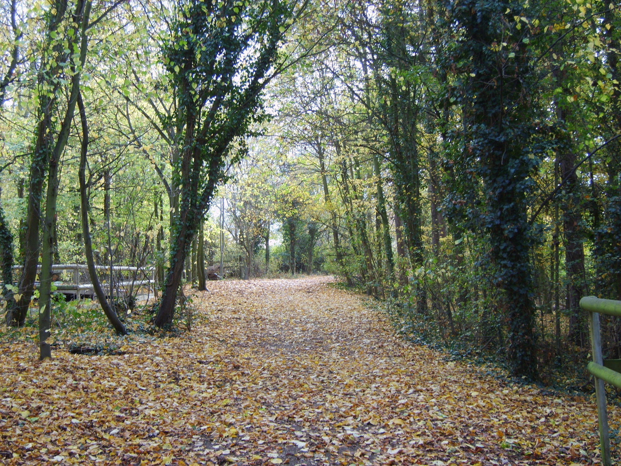 Gilwell Park 호텔 칭포드 외부 사진