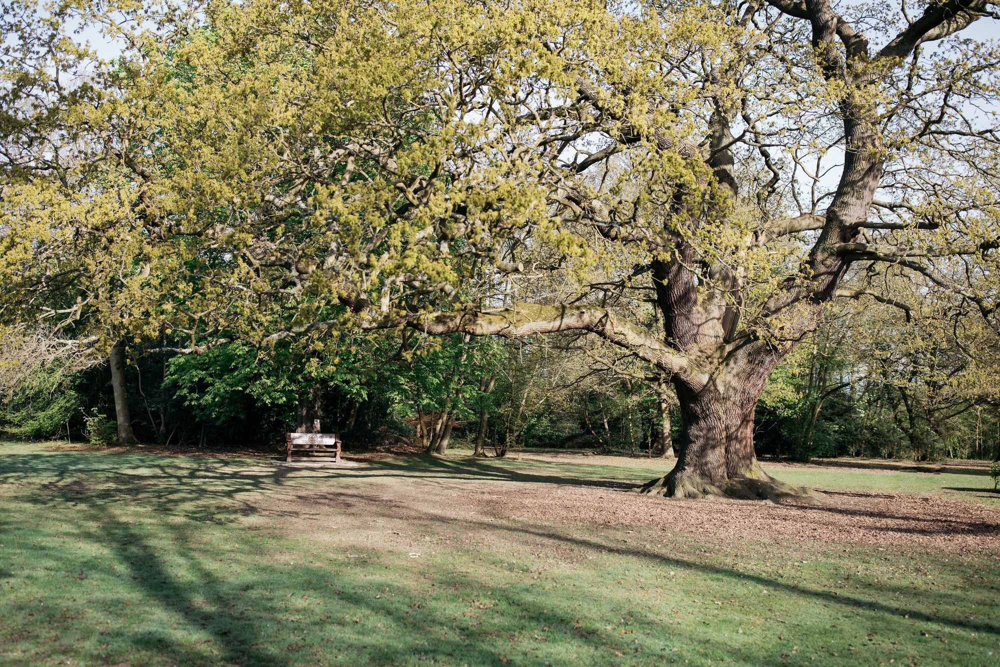 Gilwell Park 호텔 칭포드 외부 사진