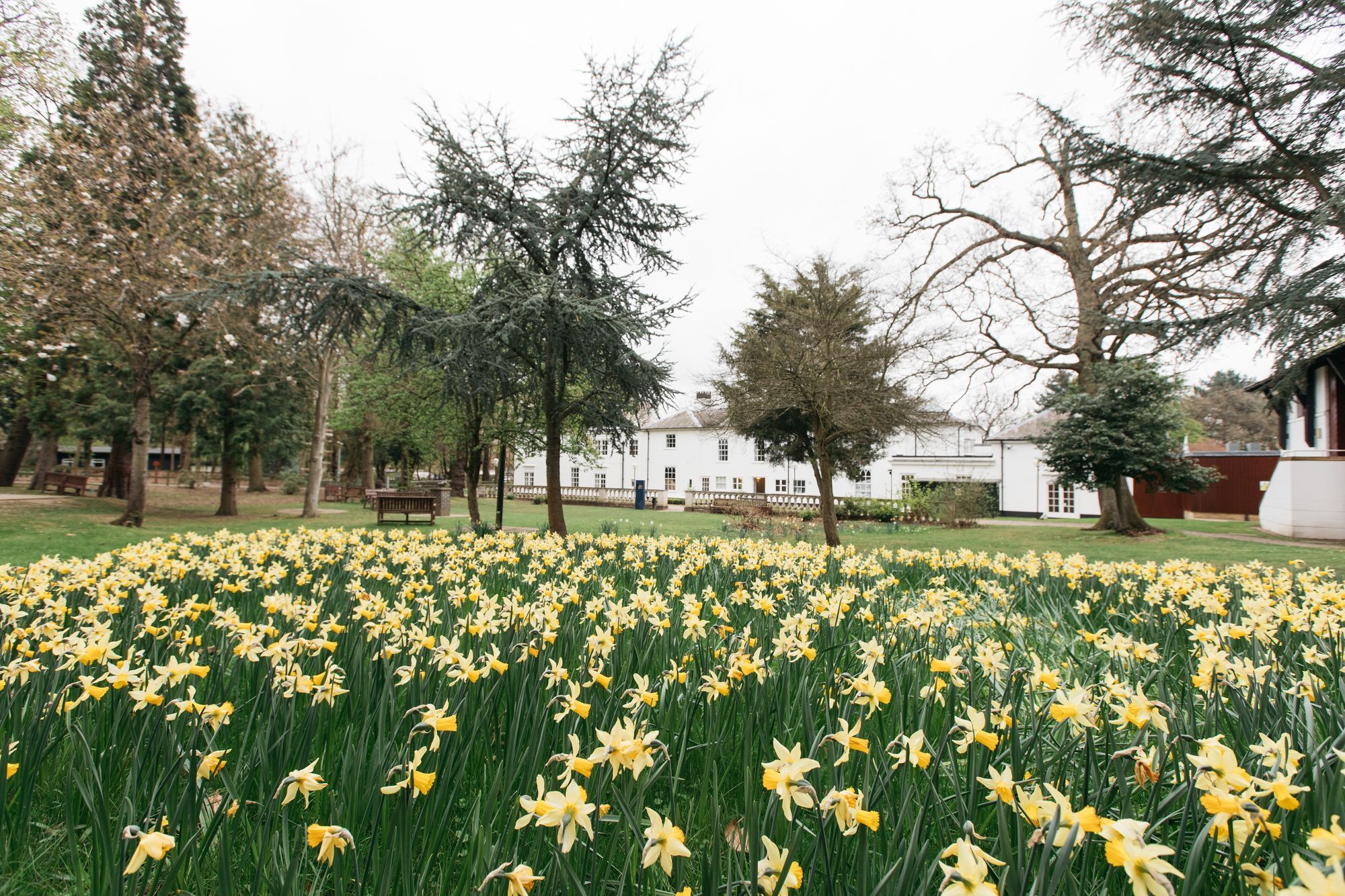 Gilwell Park 호텔 칭포드 외부 사진